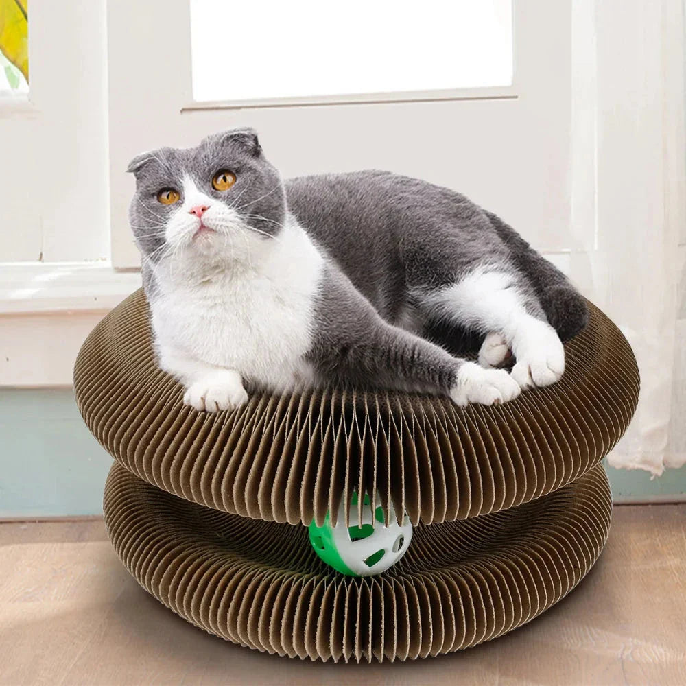 Foldable cat scratcher with toy ball, made of durable corrugated cardboard in versatile bone and crib shapes for active play and relaxation