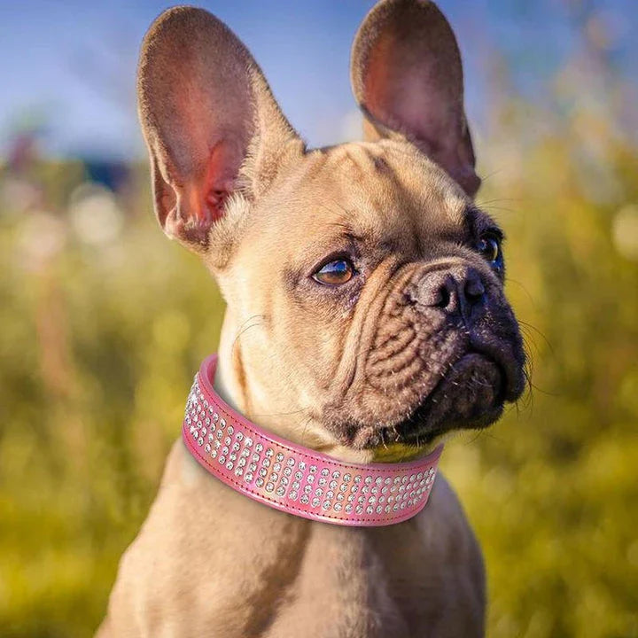 Dazzling rhinestone dog collar made from premium PU leather, available in multiple sizes and colours for medium and large dogs