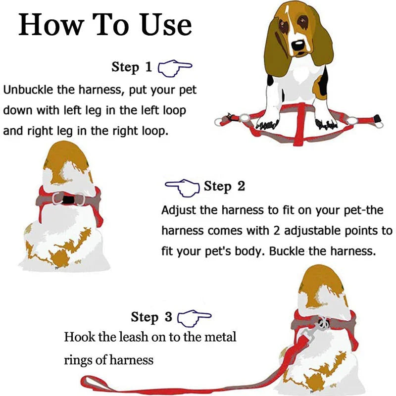 Premium adjustable no-pull dog harness and leash set with stylish pattern design, made with durable materials for comfortable and controlled walkies