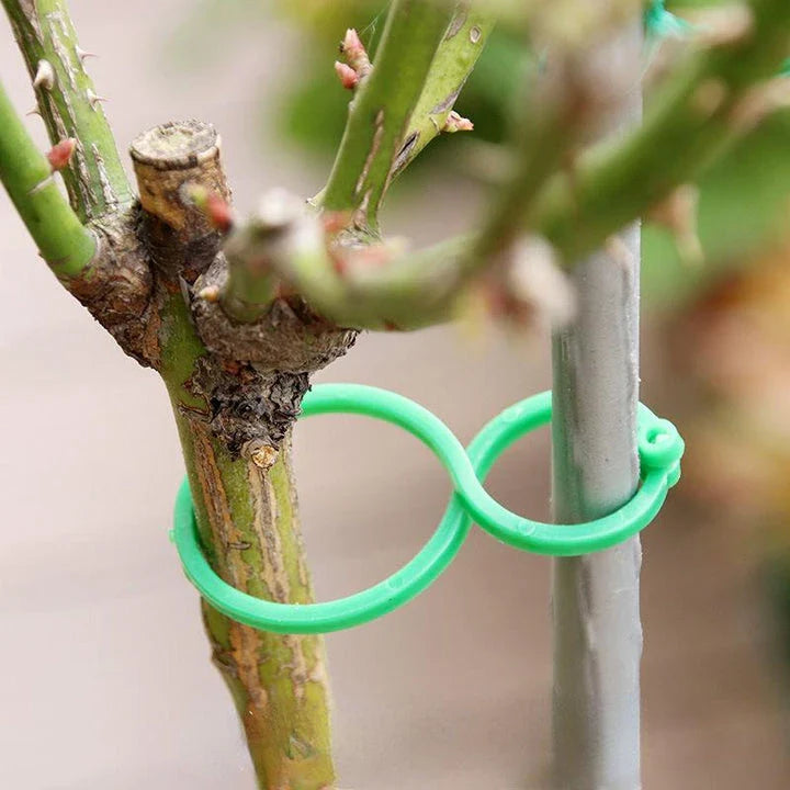 Premium Garden Vine Strapping Clips for plant support and healthy growth