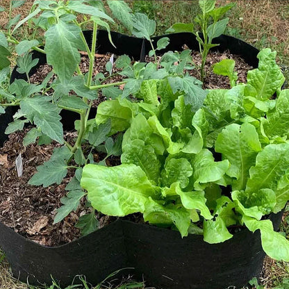 Modular felt raised garden beds with adjustable grid system for growing a variety of plants in small spaces