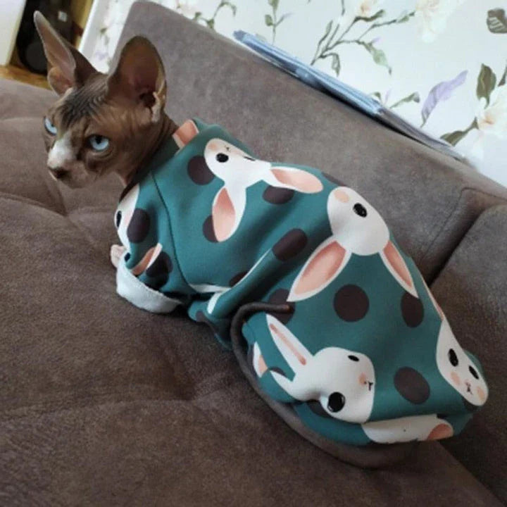 Cat wearing a colourful, printed sweatshirt in a vibrant yellow-bear design