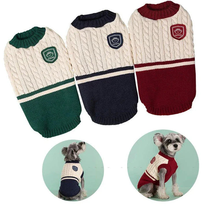College-style pet dog sweater in green, red, and blue colours, designed for small and medium-sized dogs