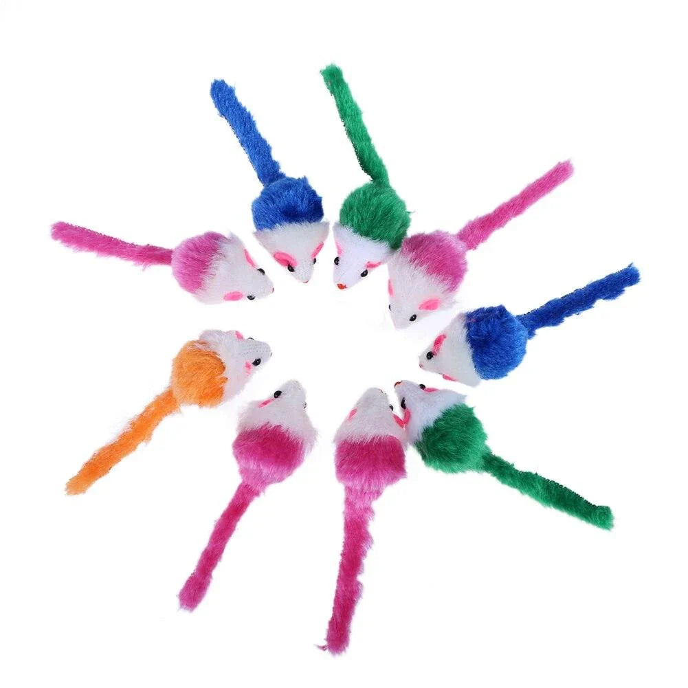 A set of ten charming and colourful mini mouse plush toys for cats to play with and engage their natural hunting instincts.