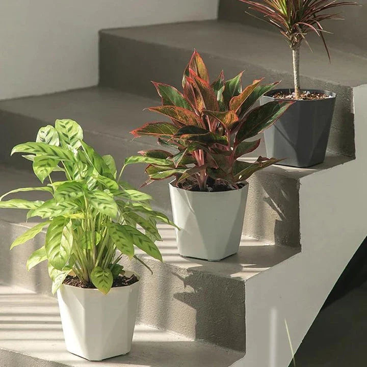 Nordic-style resin flower pot in grey, featuring a minimalist design and suitable for indoor use in UK homes and offices