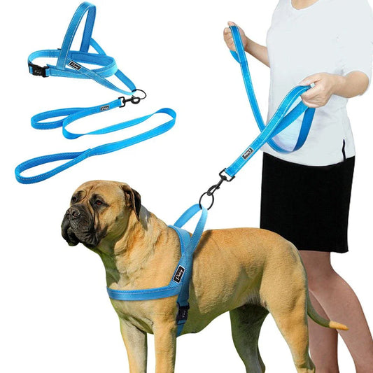 Durable nylon dog harness and leash set in various sizes for comfortable and secure walks with your canine companion