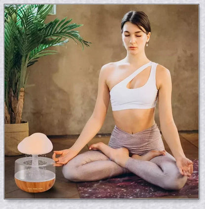 Premium allergy-relieving humidifier with advanced filtration, smart controls, and whisper-quiet operation for improved indoor air quality