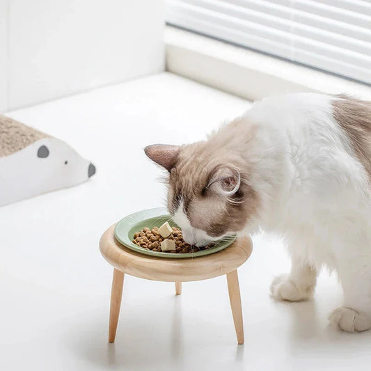 Elevated cat and small dog ceramic feeding set with adjustable wooden stand