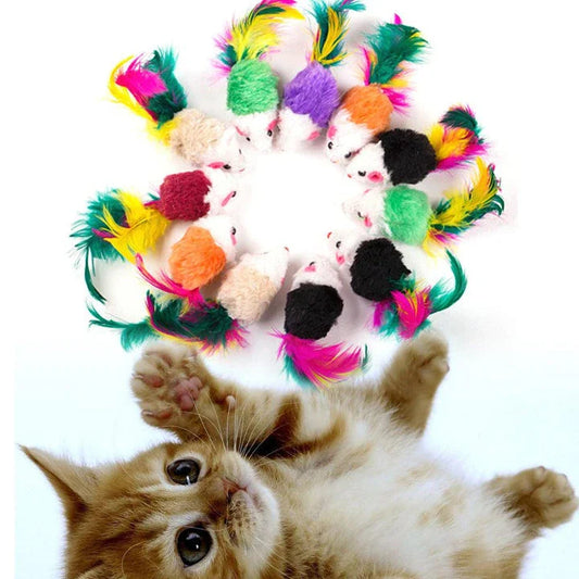 A set of ten charming and colourful mini mouse plush toys for cats to play with and engage their natural hunting instincts.