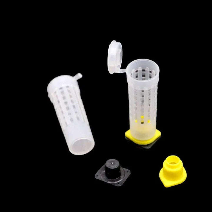 Comprehensive 50-piece queen bee rearing kit with plastic cages and cups for beekeepers in the United Kingdom