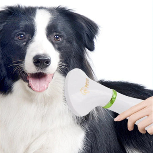 Premium 2-in-1 Pet Hair Dryer and Grooming Brush with Powerful Drying and Gentle Brushing Capabilities