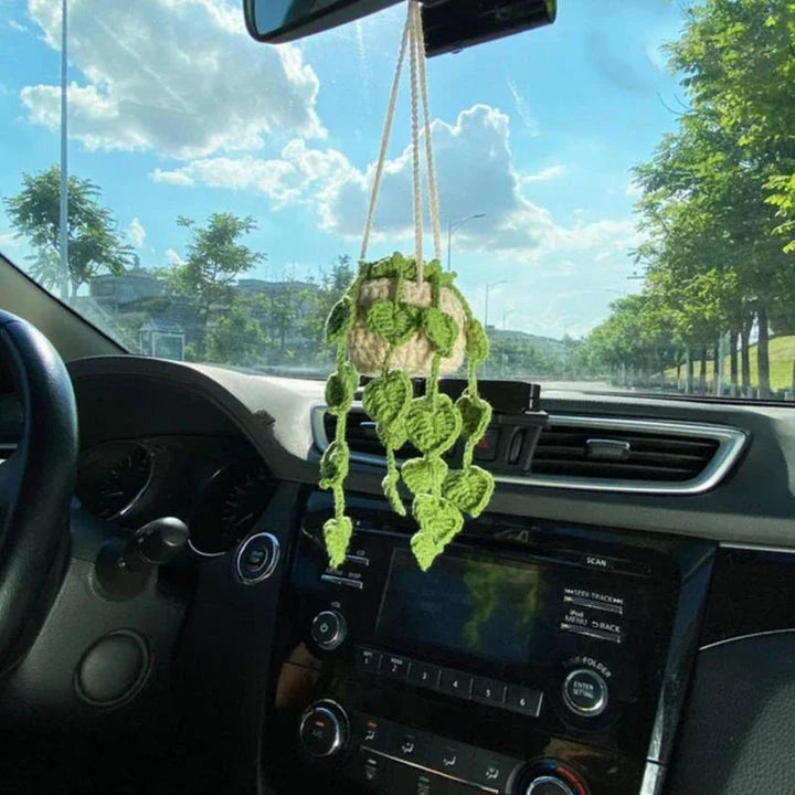 Charming knitted car plant decor with hanging white rope and green and white colour scheme