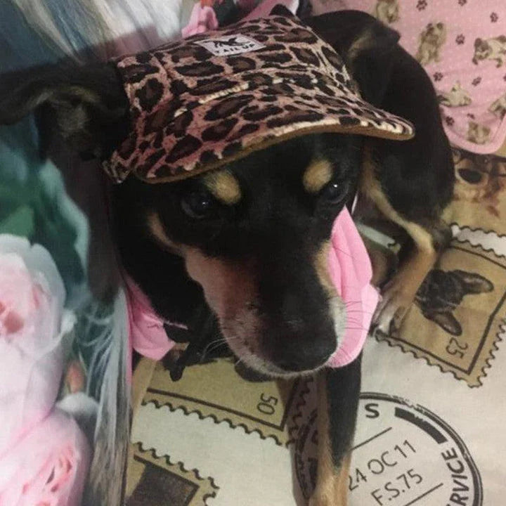 A stylish canvas pet cap with vibrant animal-themed prints, designed for comfort and fashion-forward canine companions.