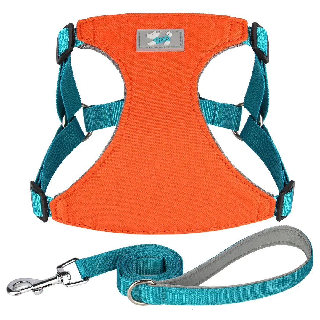 Premium Adjustable Nylon Dog Harness and Leash Set in vibrant yellow colour, designed for comfort and style during walks and outdoor adventures.