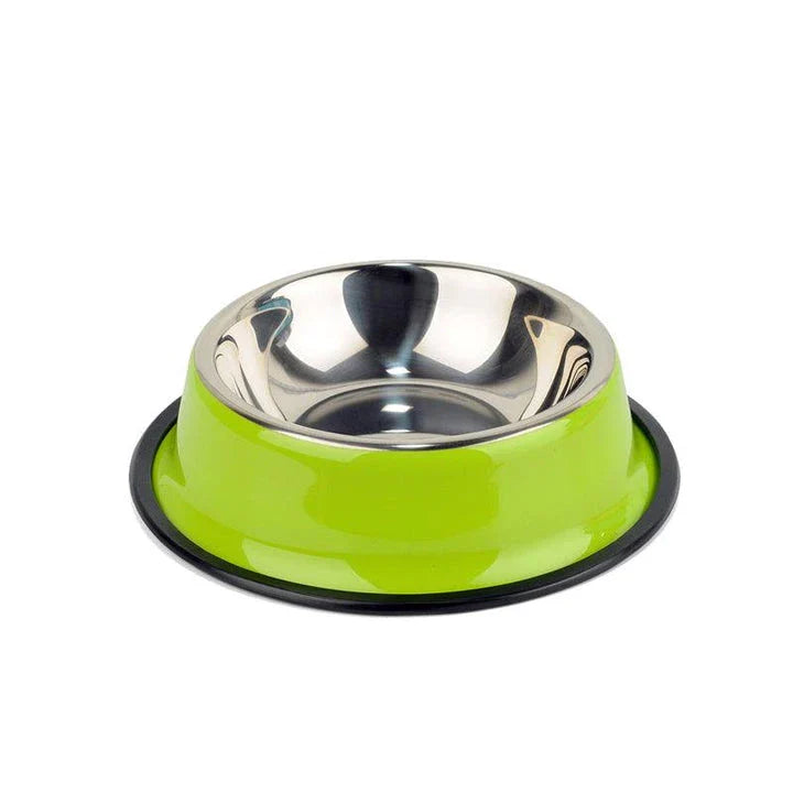 Premium stainless steel pet feeding bowl in sleek, contemporary design for dogs and cats