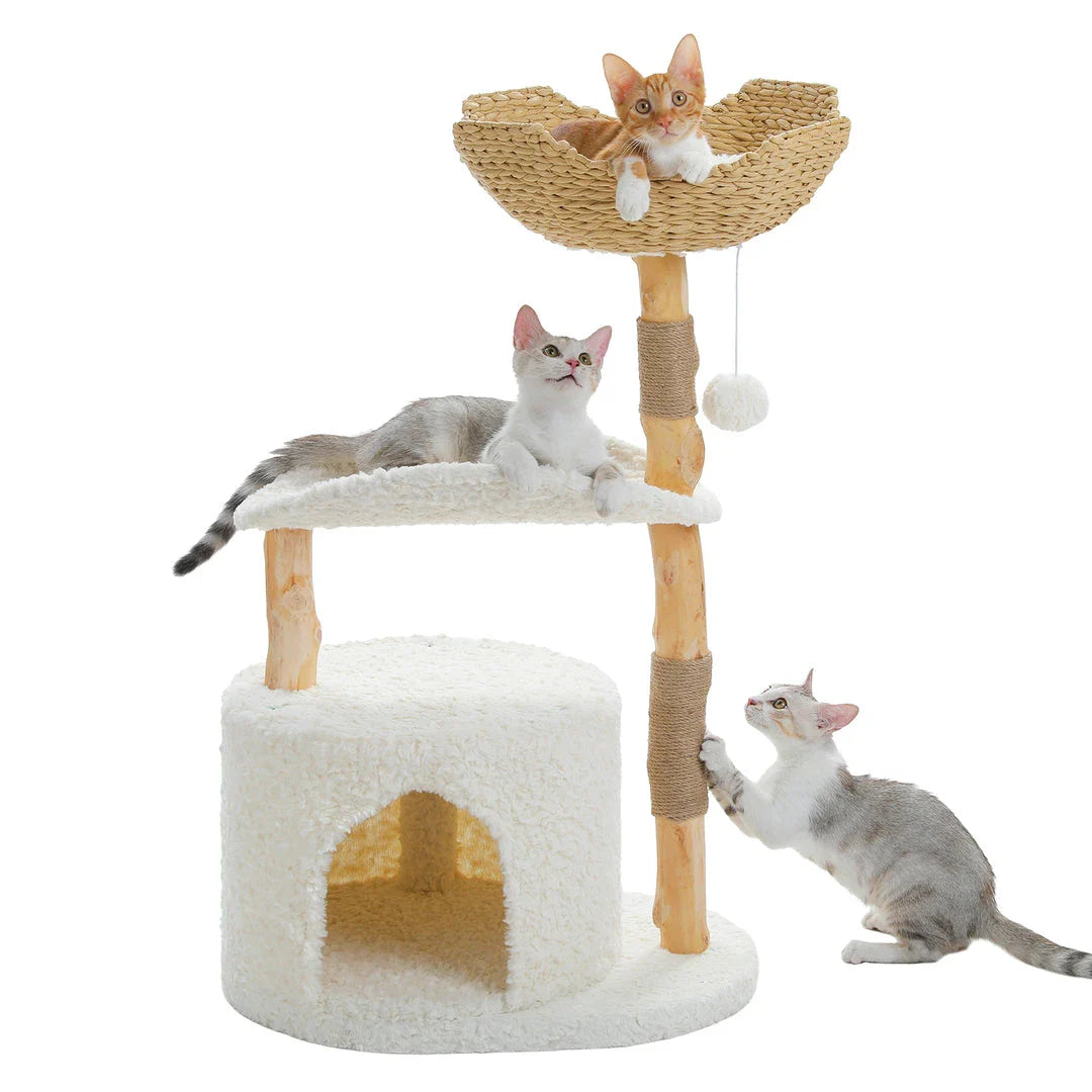 Luxurious modern cat tree with woven basket, hammock, and solid wood scratching post for large indoor cats