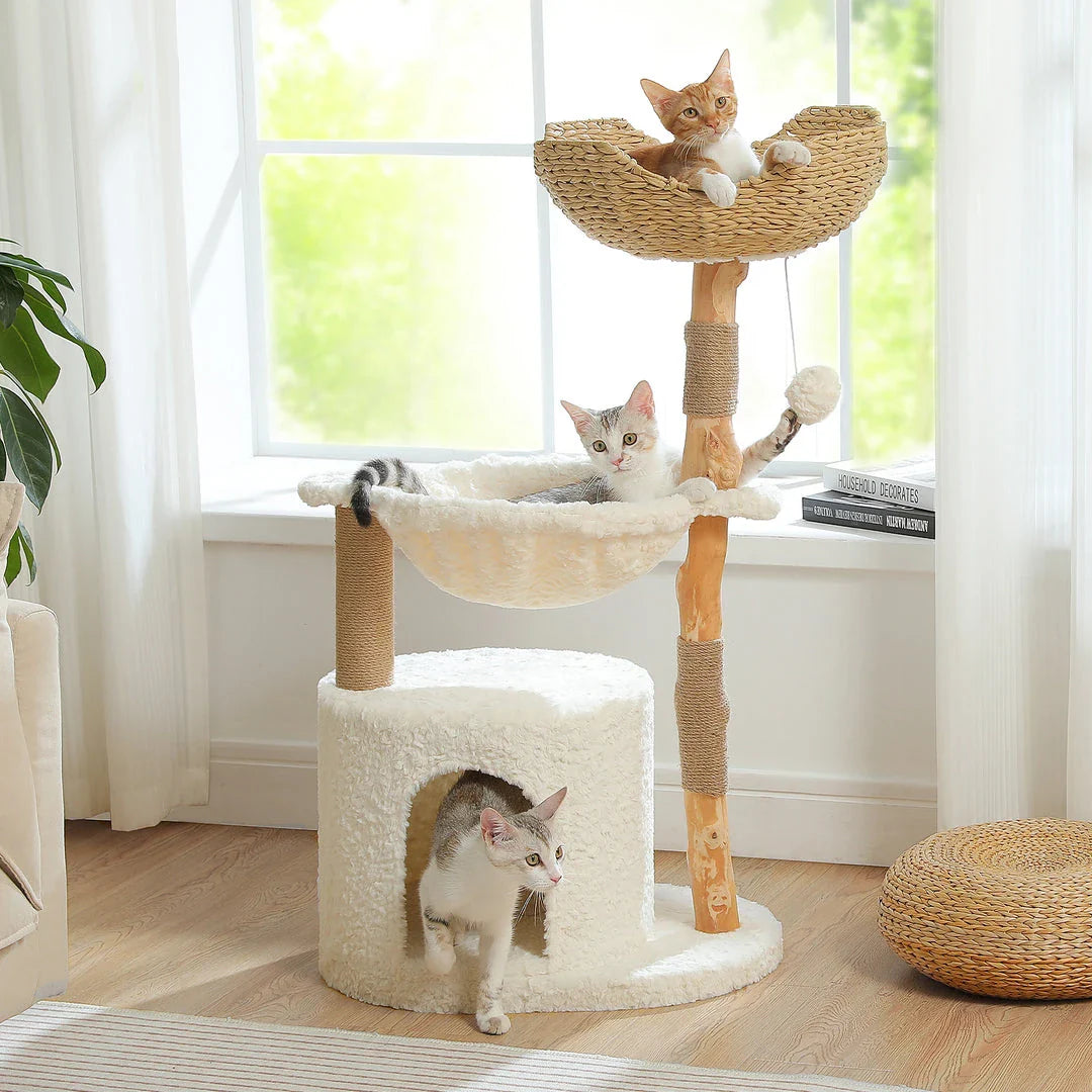 Luxurious modern cat tree with woven basket, hammock, and solid wood scratching post for large indoor cats