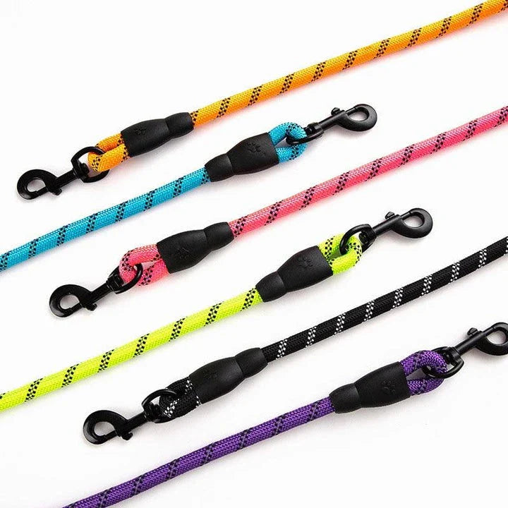 Colourful and durable nylon dog lead in various bright colours, suitable for all dog breeds