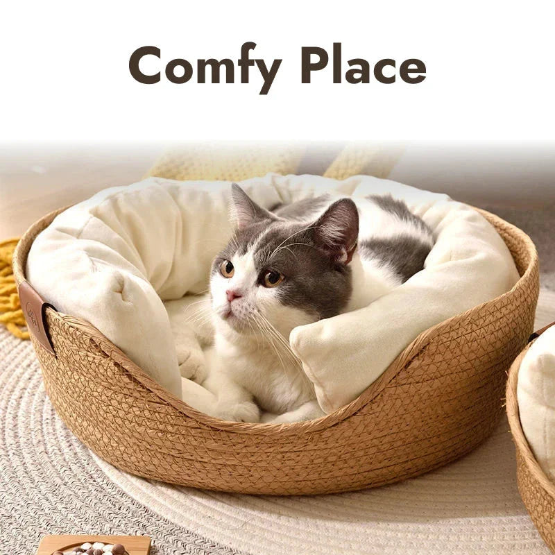 Handcrafted bamboo pet bed with removable cushion, providing a cosy and stylish sleeping space for cats and small dogs