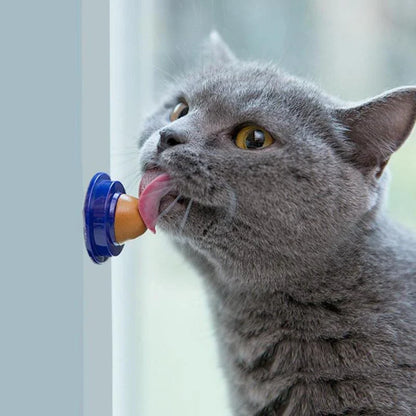 Premium cat licking treat made with catnip and fish gelatin for a delightful and healthy snacking experience