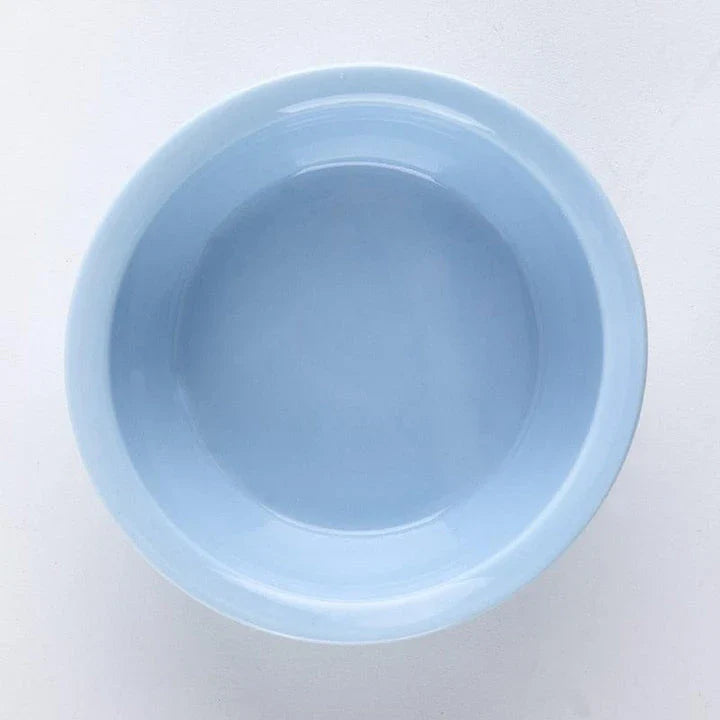 Ceramic Pet Bowl with Tilted Base in various colours, designed for comfort and style