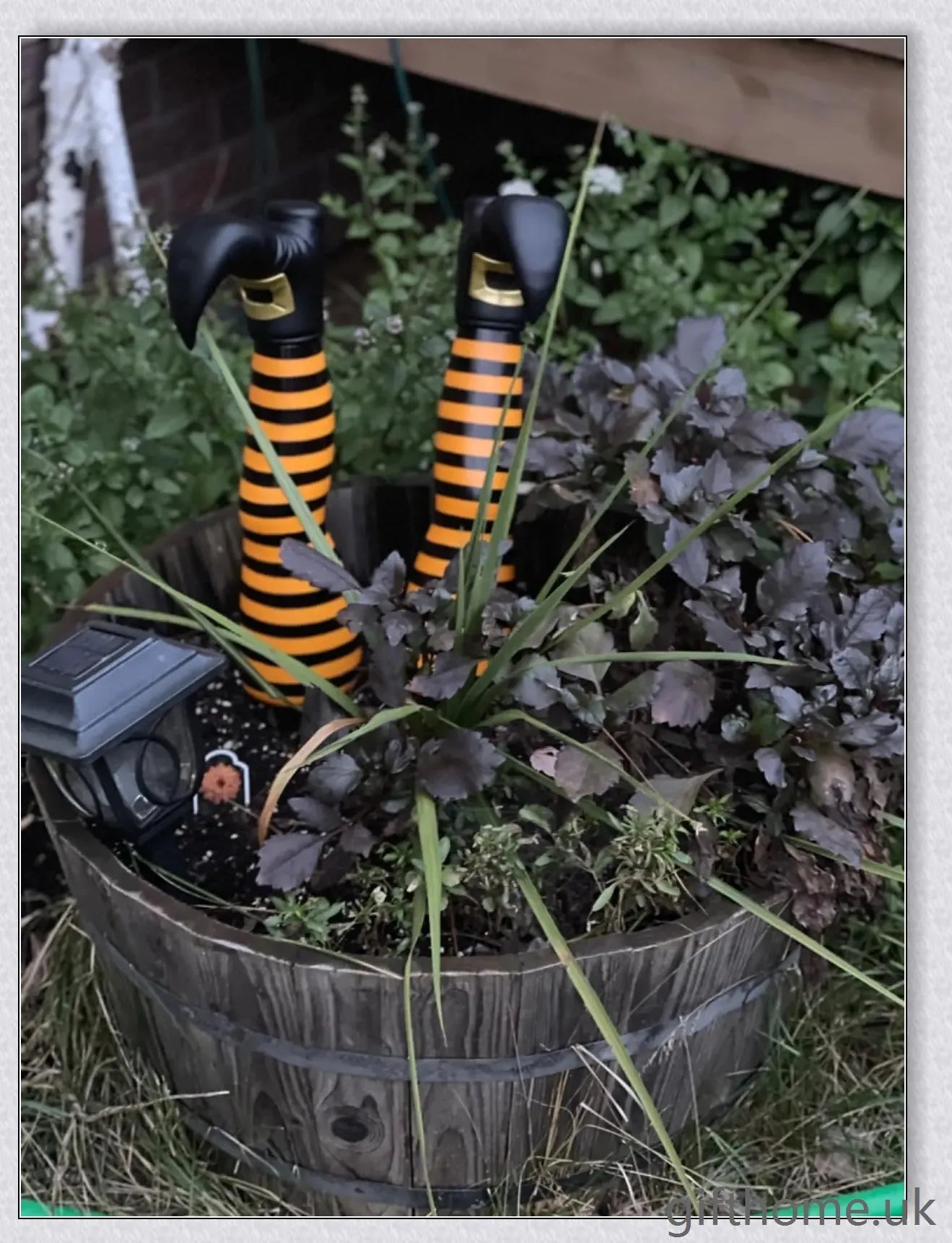 Animated witch legs in various colours, including purple, yellow, and black and white, kicking and moving to create a spooky Halloween display