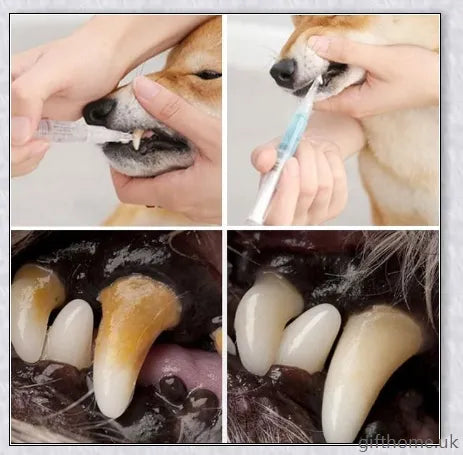 Dog Teeth Plaque Removing Pens - Premium dental cleaning system for dogs with dual-pen design and all-natural ingredients