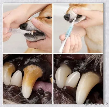 Dog Teeth Plaque Removing Pens - Premium dental cleaning system for dogs with dual-pen design and all-natural ingredients