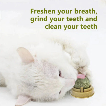 Dental Health Catnip Toy Balls in Blue, Pink, and Green colours for cats - Freshens breath, strengthens teeth, and provides interactive play