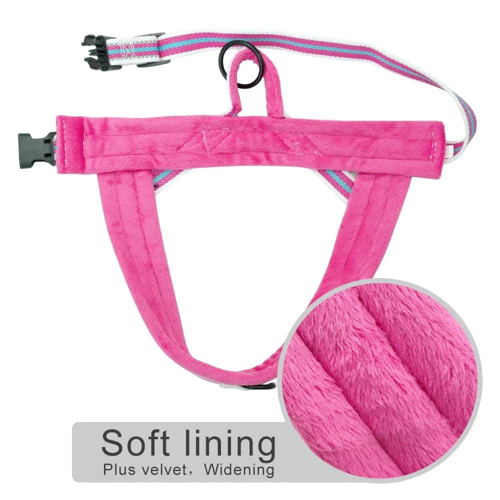 Adjustable reflective dog harness with padded interior for comfort and safety