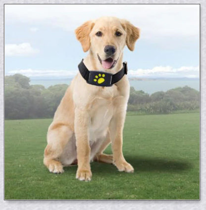 Premium GPS Cat Collar with real-time location tracking, waterproof design, and 'Geofence' safety features to safeguard your cat