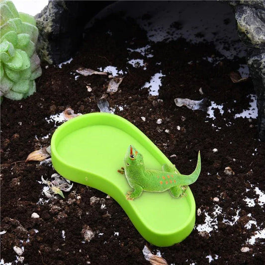 Premium plastic feeding bowls for reptiles, available in two sizes to suit a variety of species