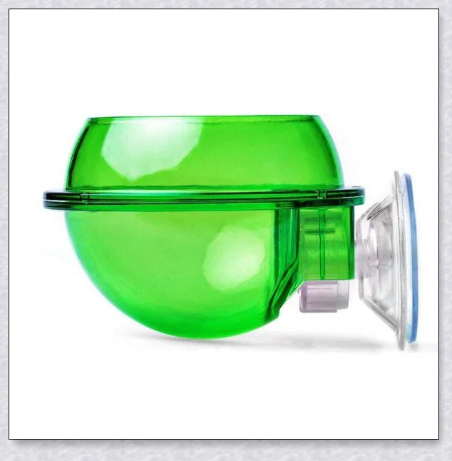 Premium Chameleon Lizard Suction Cup Feeder Set with soft, flexible suction cups for secure glass adhesion and durable construction