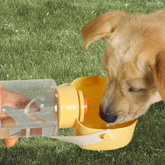 Portable pet water bottle and feeder with separate compartments for water and food, designed for easy hydration and feeding during outdoor adventures.