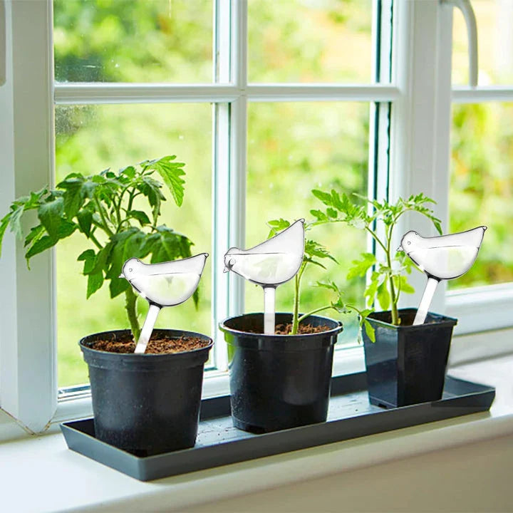 Automatic Self-Watering Globe in the shape of a bird, made of clear plastic for growing and displaying plants indoors or outdoors.