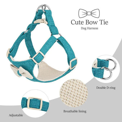 Adjustable bowtie collar, leash, and harness set for small and medium-sized pets in blue, green, pink, and red colours