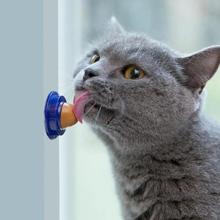 Premium cat licking treat made with catnip and fish gelatin for a delightful and healthy snacking experience
