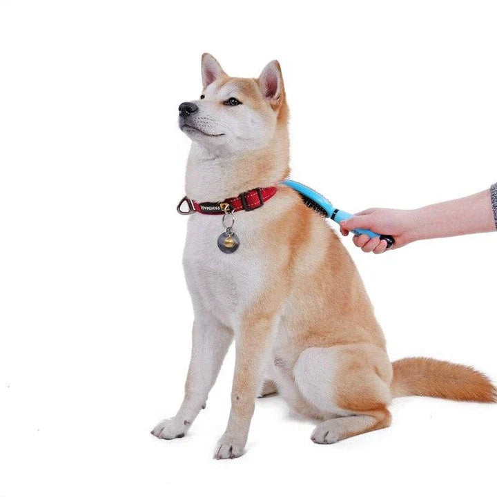 Dual-sided pet grooming and massage brush with soft bristles and metal pins for effective coat care and relaxation