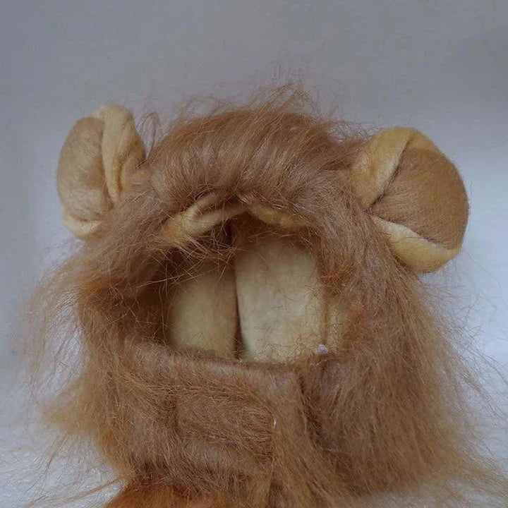 A warm, cosy hat made from premium buckskin material, designed to keep cats comfortable and fashionable