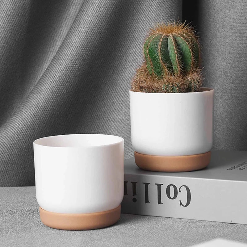 Double-Layer Self-Watering Succulent Plant Pot in White, Suitable for Indoor and Outdoor Decor