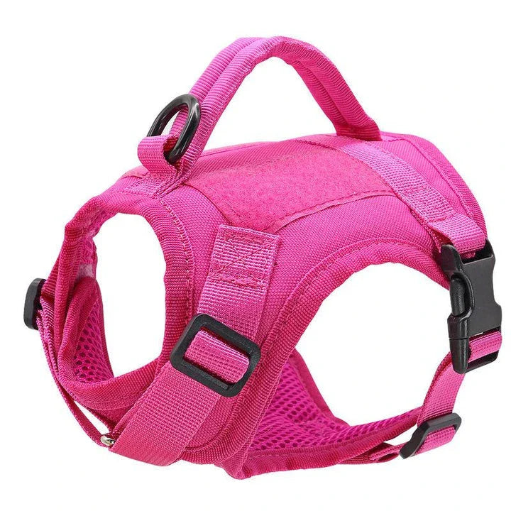 Premium nylon cat harness vest with padded design, water-resistant material, and secure handle for outdoor adventures with pets in the UK