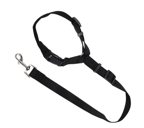 Adjustable dog car seatbelt with headrest loop and extendable leash for secure pet travel