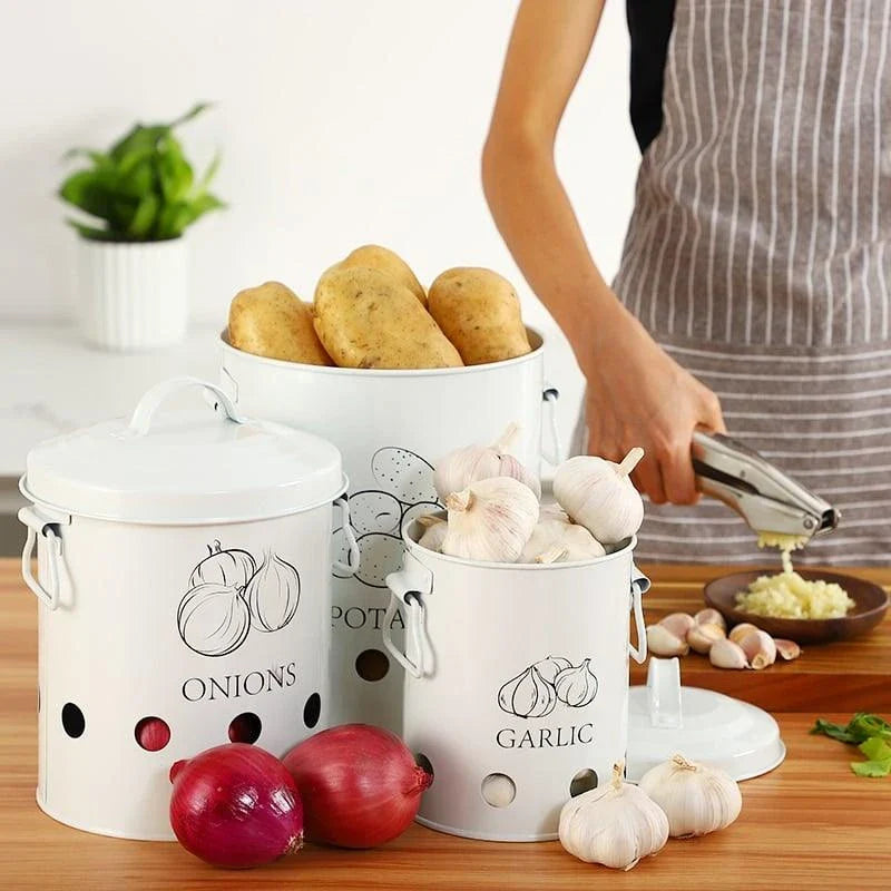 Premium metal storage containers with perforated sides for ventilation and built-in handles for easy transport