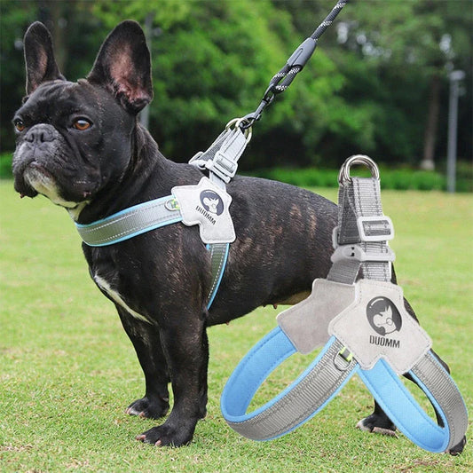 Reflective mesh dog harness vest with adjustable straps for a secure and comfortable fit, designed for safe and stylish walks with your canine companion.