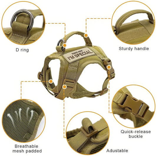 Premium nylon cat harness vest with padded design, water-resistant material, and secure handle for outdoor adventures with pets in the UK