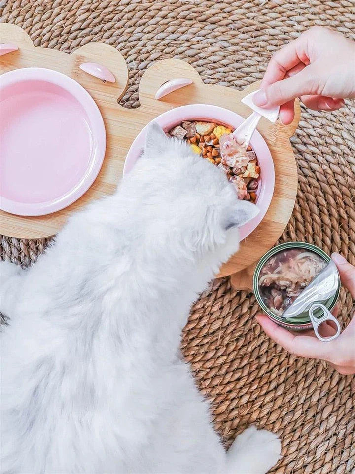 Ceramic Pet Bowl with Tilted Base in various colours, designed for comfort and style