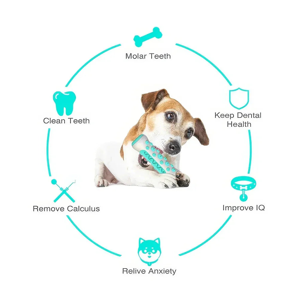 Premium dog dental chew stick toy with bristles for effective teeth cleaning and interactive play