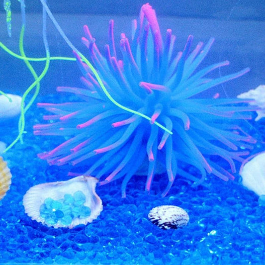 Premium blue aquarium gravel with smooth, rounded pebbles for a safe and comfortable underwater environment