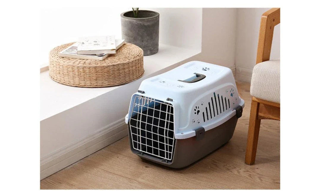 Little Paws Airline Pet Carrier - Sturdy, Comfortable, and Airline-Approved Transport for Your Beloved Pet