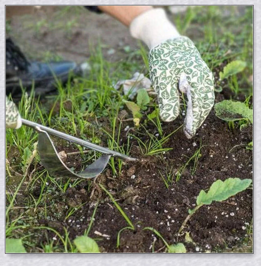 Premium British stainless steel manual weed puller with curved metal base and sharp forks for easy weed removal